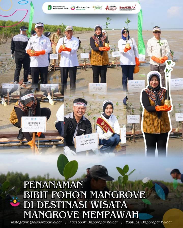 Penanaman Bibit Pohon Mangrove di Destinasi Wisata Mangrove Mempawah